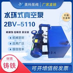 2BV-5110水环式真空泵