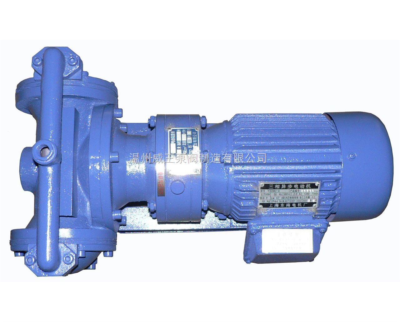 隔膜泵,隔膜泵规格型号,隔膜泵结构图片-中国泵