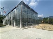 花卉玻璃温室生产