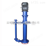 80YZS80-20A液下砂浆泵（加气混凝土泵）