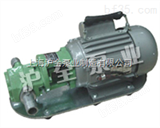 WCB-75便携式齿轮油泵,  磁力自吸泵,家用自吸泵,WQ排污泵,上海排污泵