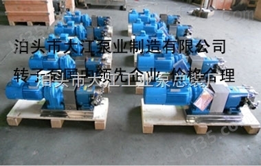 3-2RP78/0.6凸轮式双转子泵 食品泵选大江泵业 质优价廉