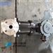 自贡自泵水泵厂磁力驱动泵磁力旋涡泵