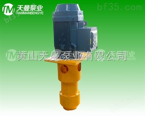 HSJ280-46三螺杆泵 稀油润滑系统油泵备件