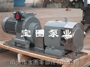 专业设计定做KCB不锈钢齿轮泵生产厂家泊头宝图