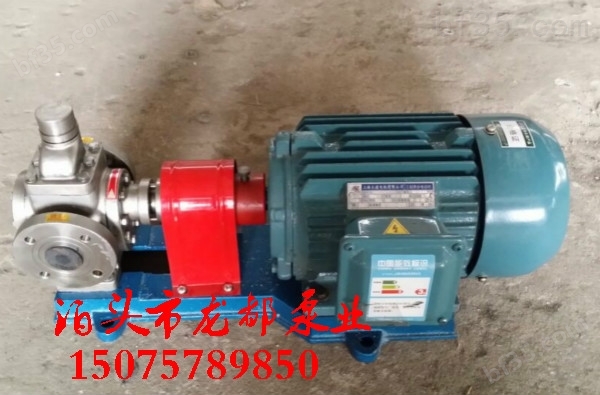 YCB-25/0.6型圆弧齿轮泵 现货批发