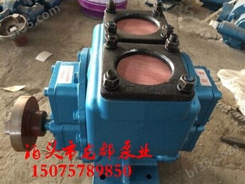 65YHCB30/0.6型齿轮泵-圆弧齿轮泵-油罐车泵