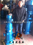 供应100DL*8长沙多级泵 多级泵价格 多级泵厂家