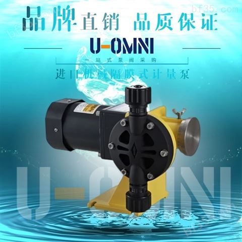 进口液压隔膜式计量泵-进口欧姆尼U-OMNI