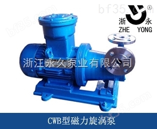 CWB32-120磁力旋涡泵